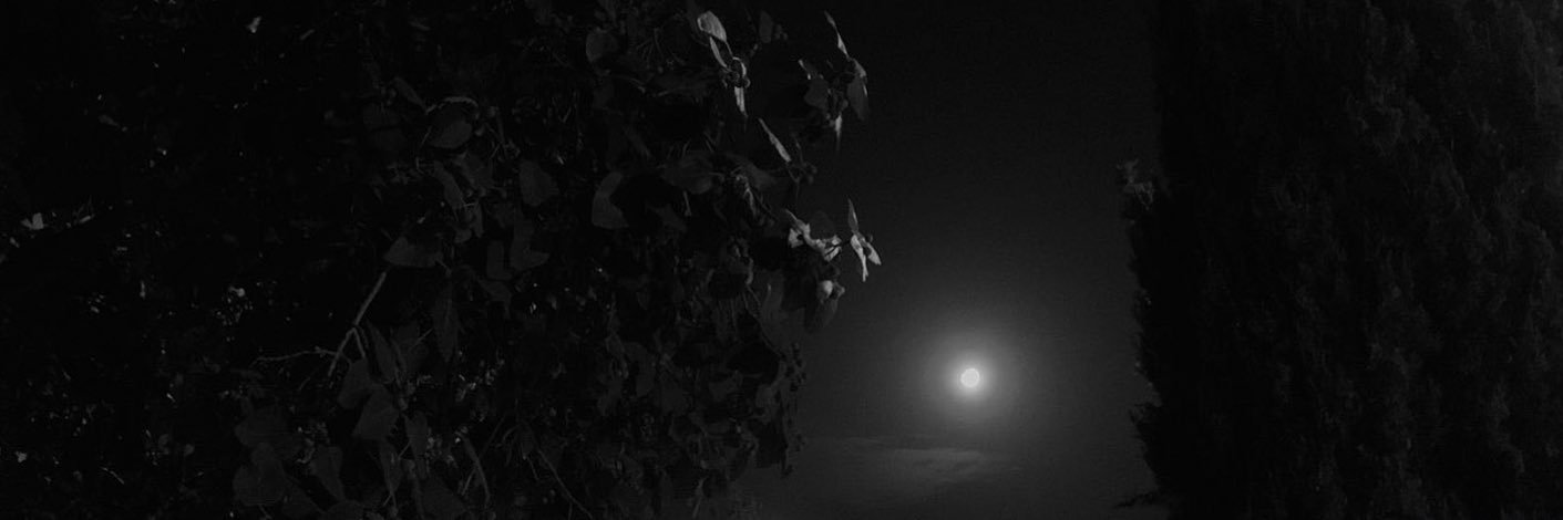 Fedrily's profile banner image
