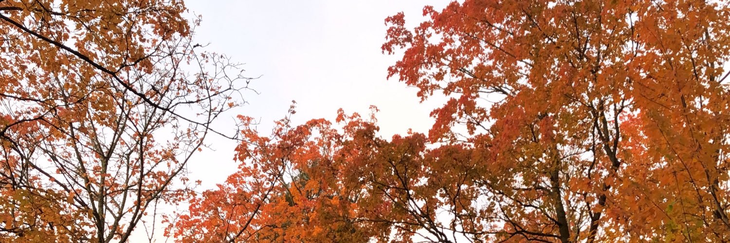 Sinttu_AW's profile banner image