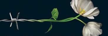 ManojChavanX's profile banner image