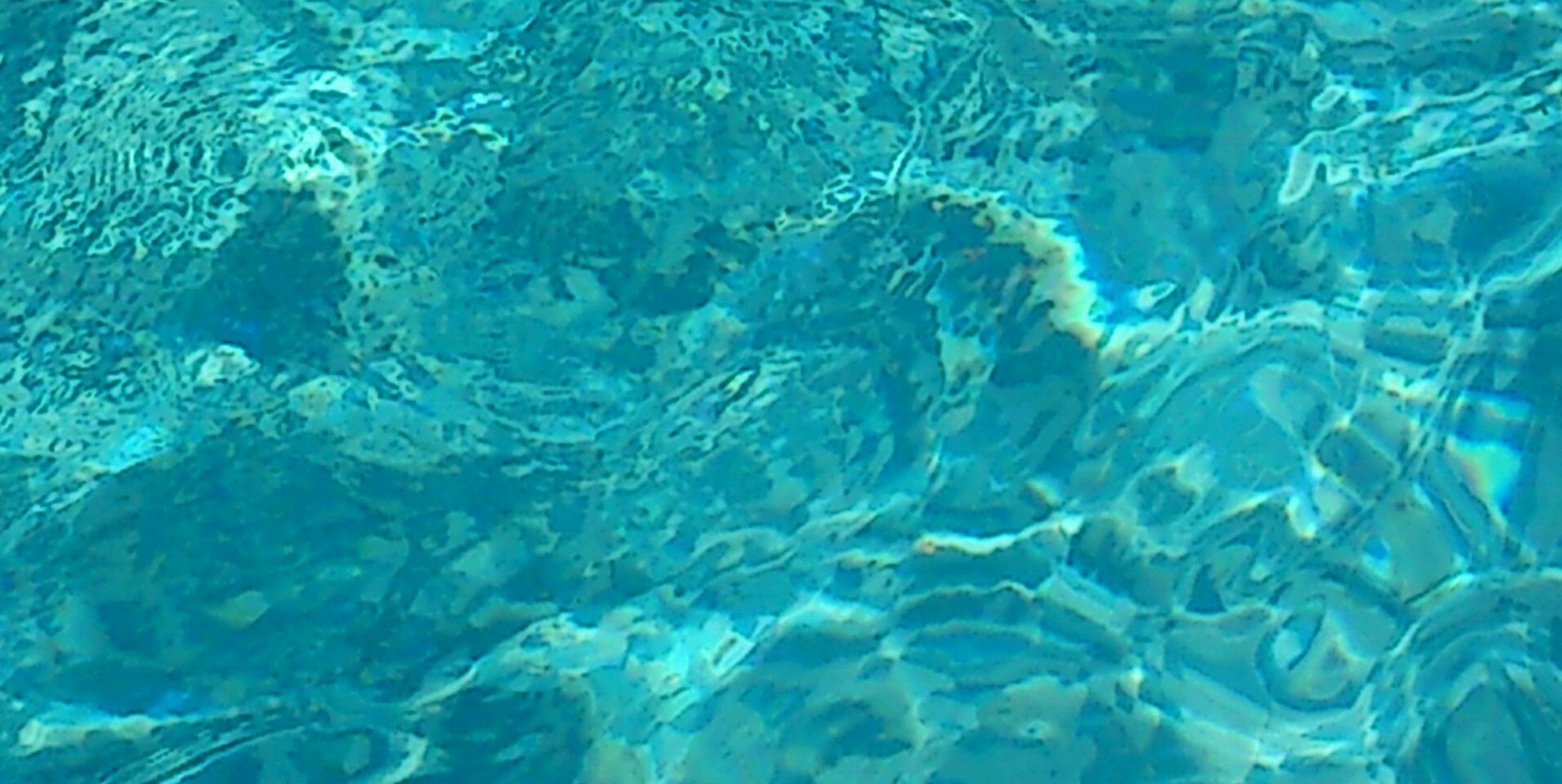 ForteaAna's profile banner image