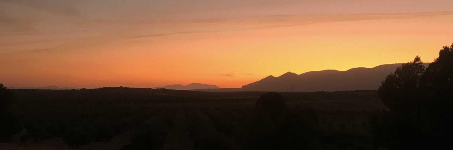JimenezAlfons's profile banner image
