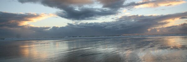 Redfoxmeek Profile Banner