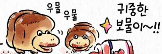 《선입금 ~4/12》《제7회 오락관》 담비 banner