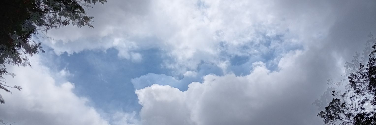 𝓸𝓼𝔀𝓪𝓵𝓭𝓸 /\ banner