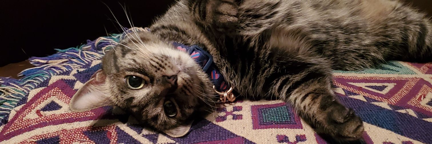 Lisa H(MindRiot) banner