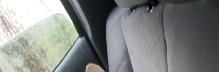 Timothyjhr's profile banner image
