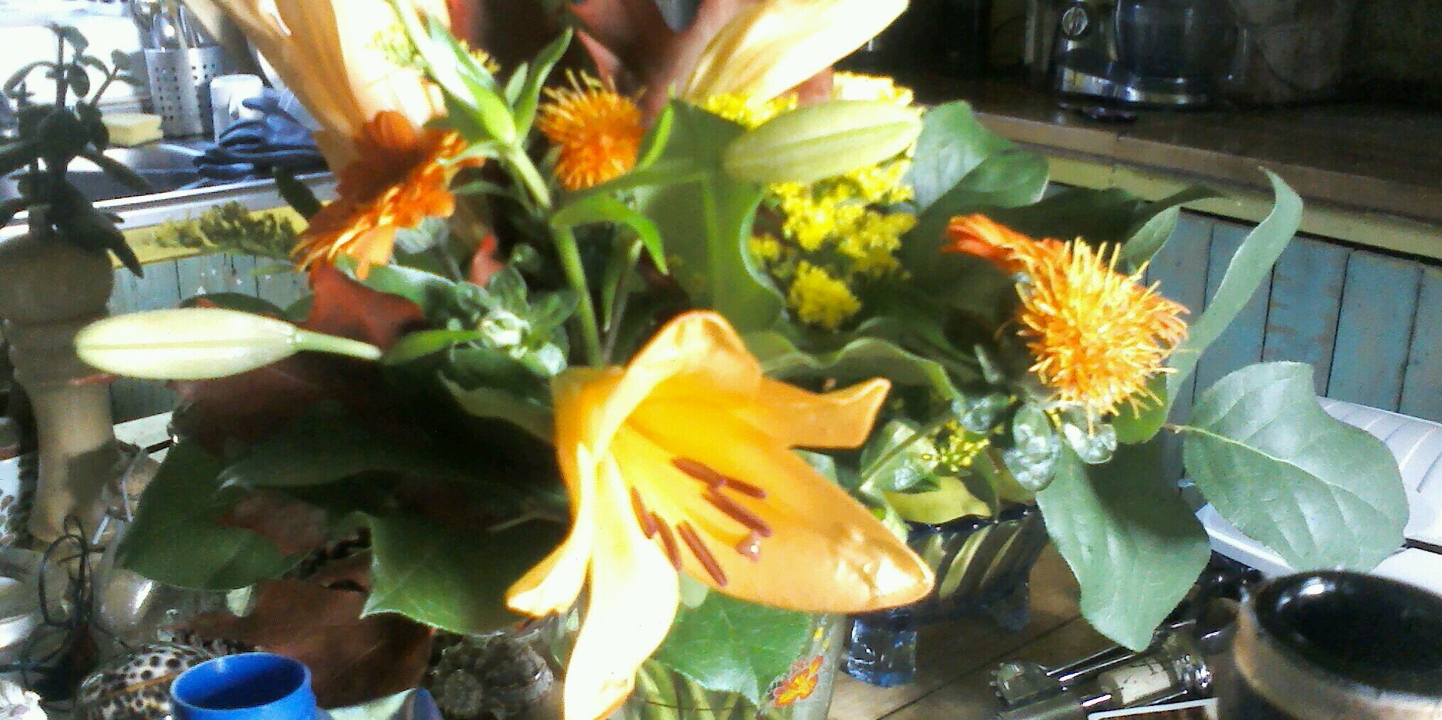 barbara stretch banner