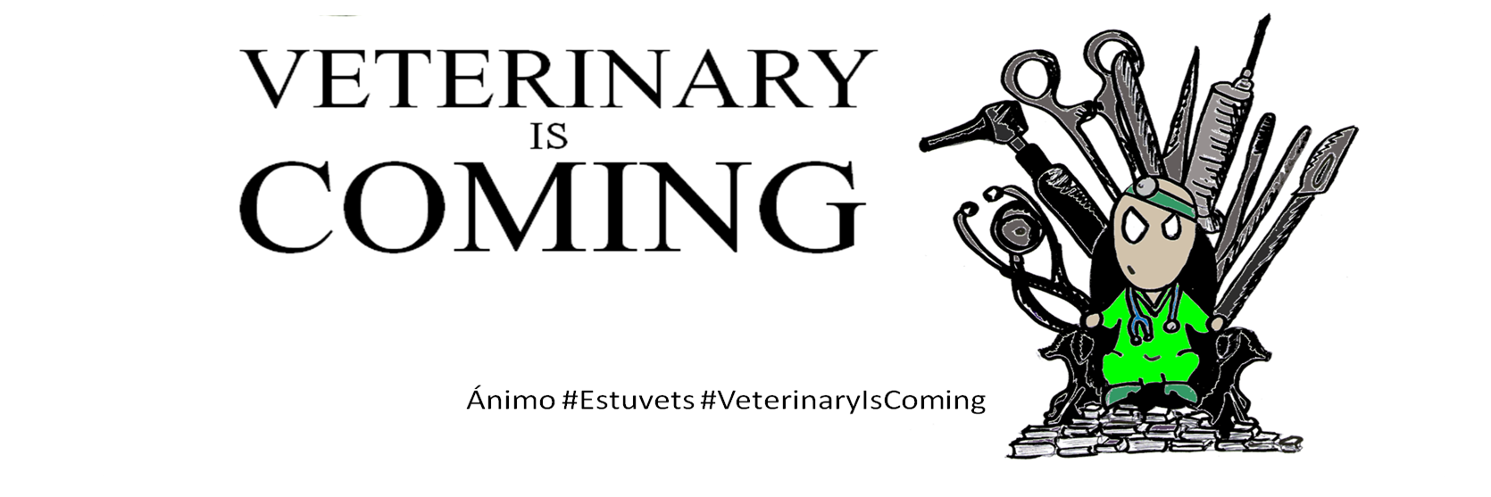 DiarioRookieVet's profile banner image
