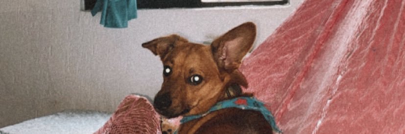 Brensd20's profile banner image