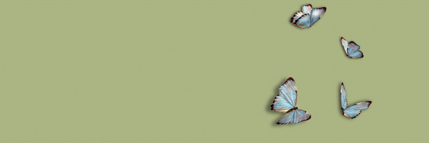 GegelTue's profile banner image