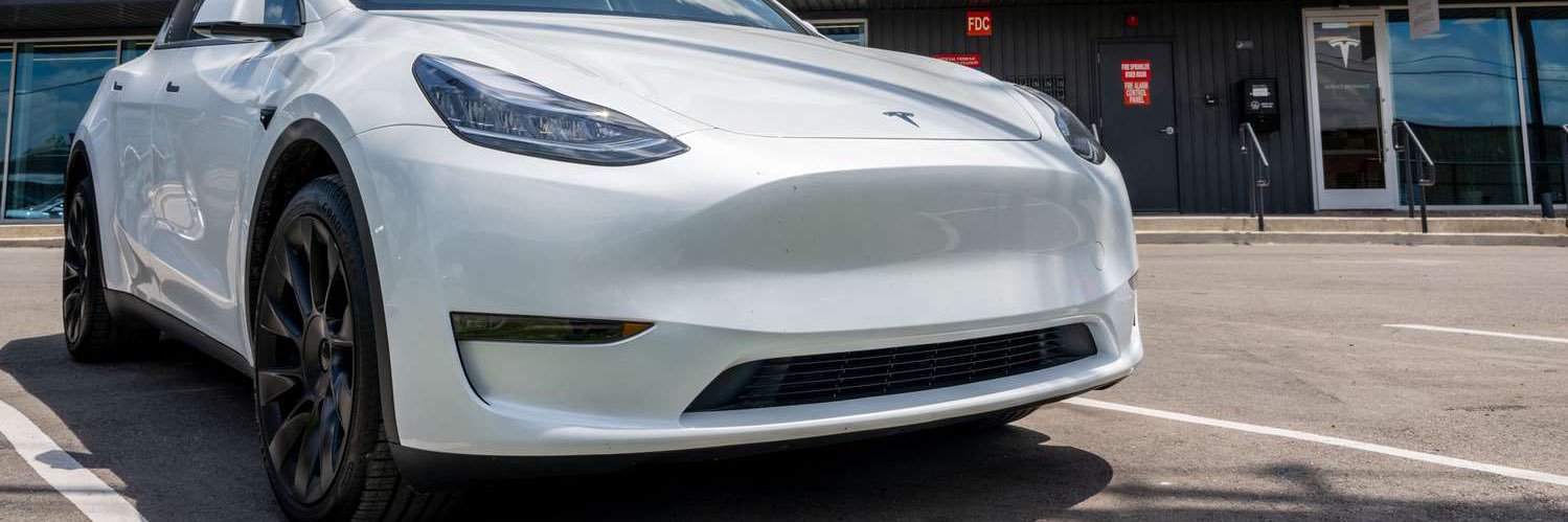 シン・ゴーン (Shin Gohn) banner