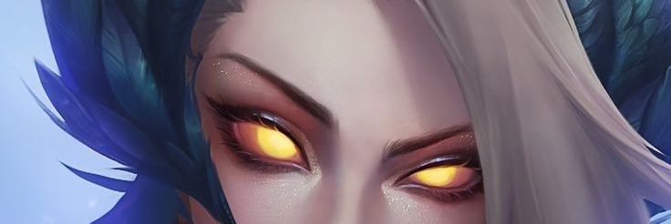 literallyano's profile banner image
