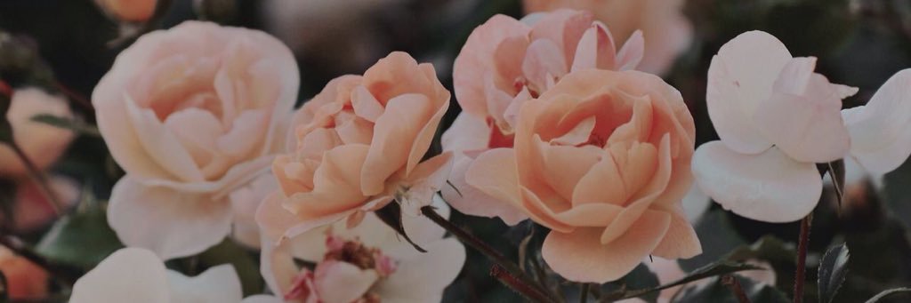 LethyMagalhaes's profile banner image