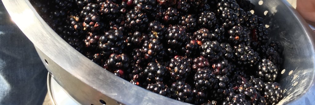 Bessie's Preserves banner