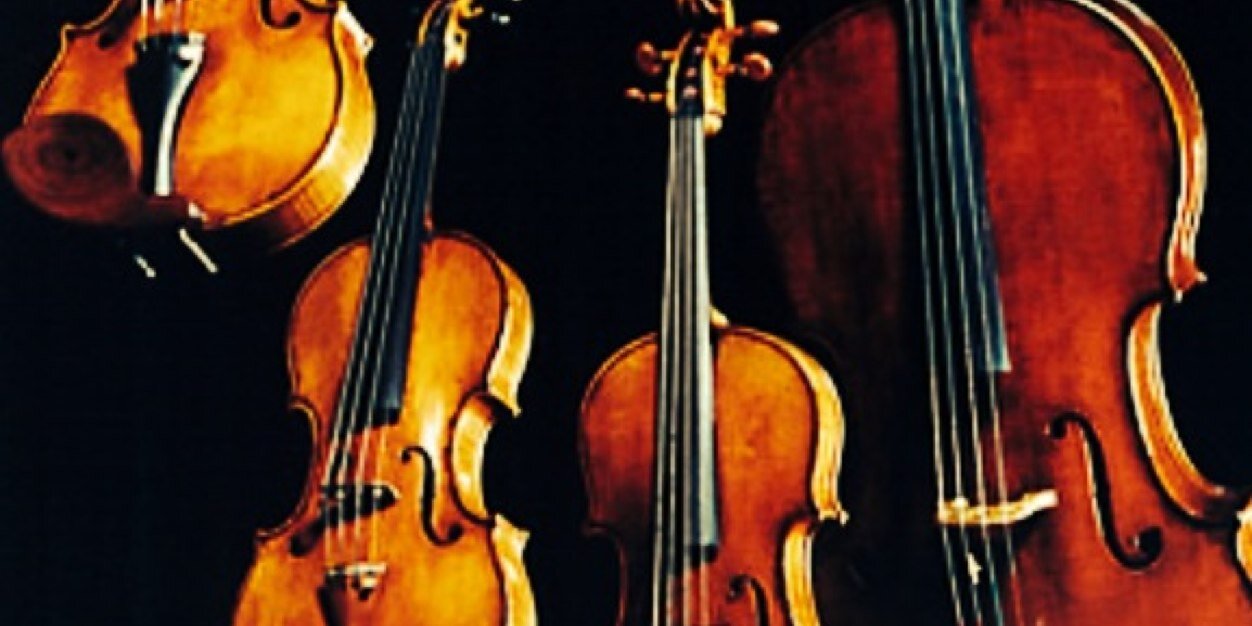 HaysdenStrings's profile banner image