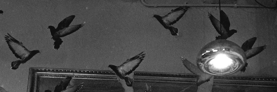 thisismyfolk's profile banner image