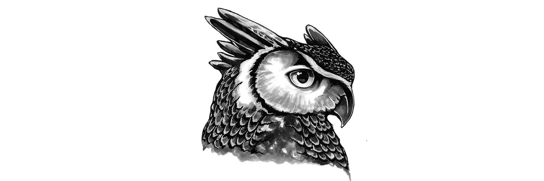 noccky's profile banner image