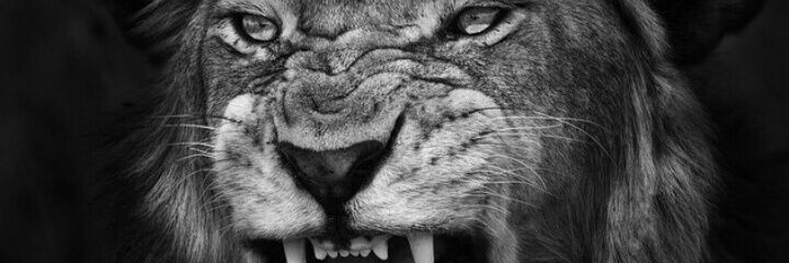 veinNs_'s profile banner image