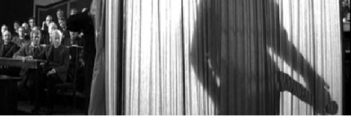 Notamanimal's profile banner image