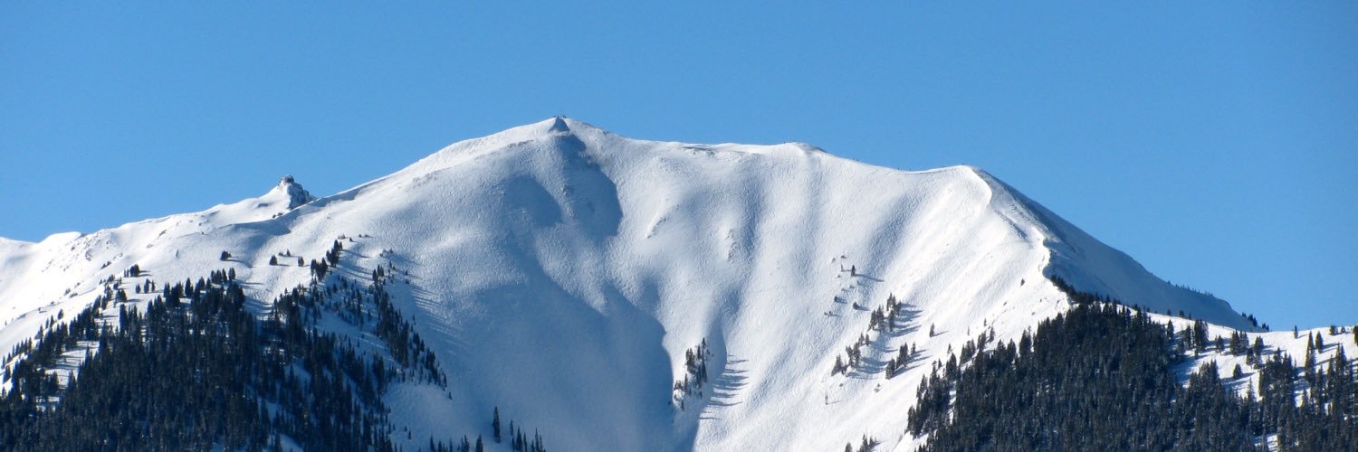 Michael D Lofino Jr banner