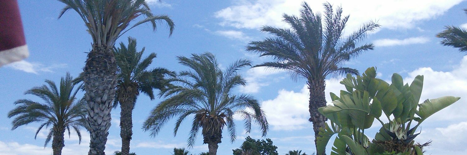 Julie McIntyre banner