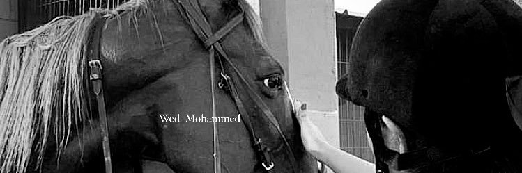 ود محمد banner