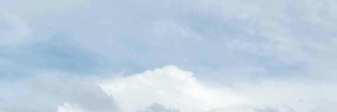 mandyminion's profile banner image