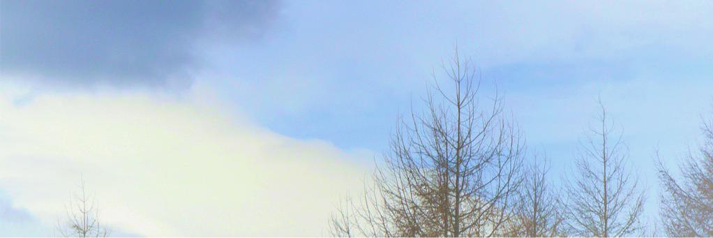 meshtonant's profile banner image