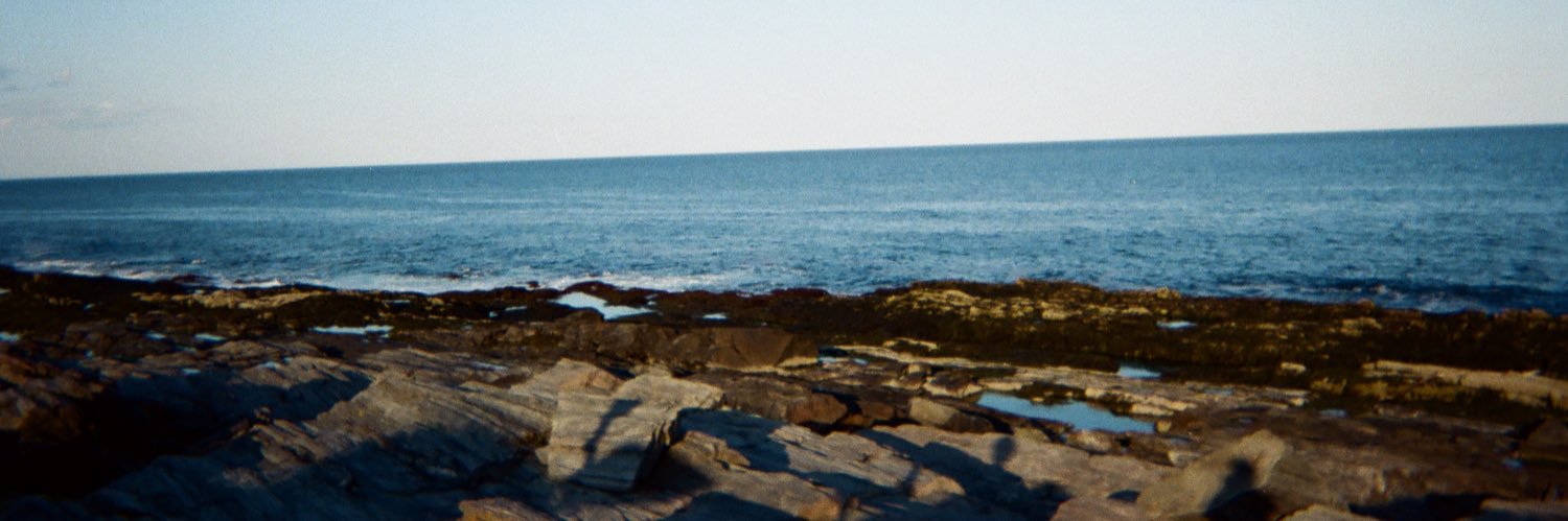 bourqupine's profile banner image