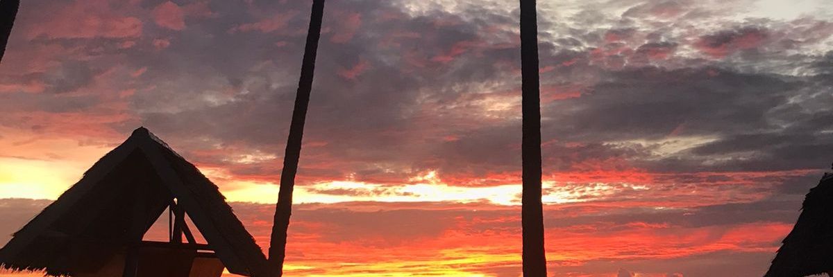 Mnfifah's profile banner image