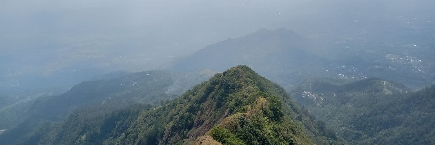 luwihi's profile banner image