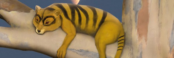 queenslandtiger Profile Banner