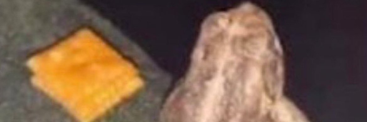 jorgedieppa2's profile banner image