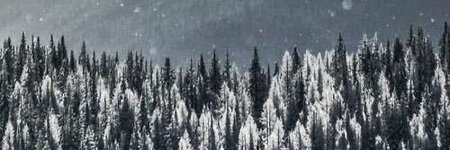 baileytiller_'s profile banner image