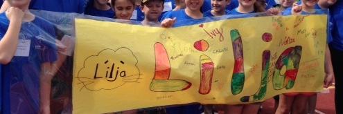liljaschool's profile banner image