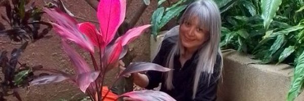 CRITERIOPROPIO Profile Banner