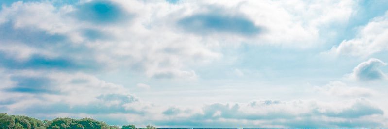 arwa0079's profile banner image