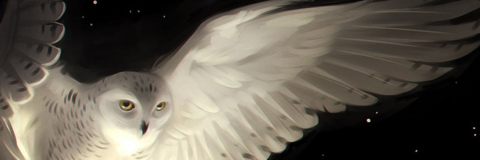 hea244's profile banner image