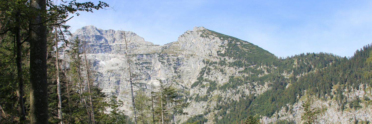 Amoselle's profile banner image