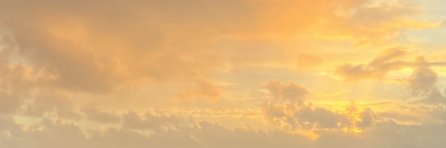 Leahevs's profile banner image