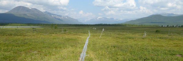 MikePeacock86 Profile Banner