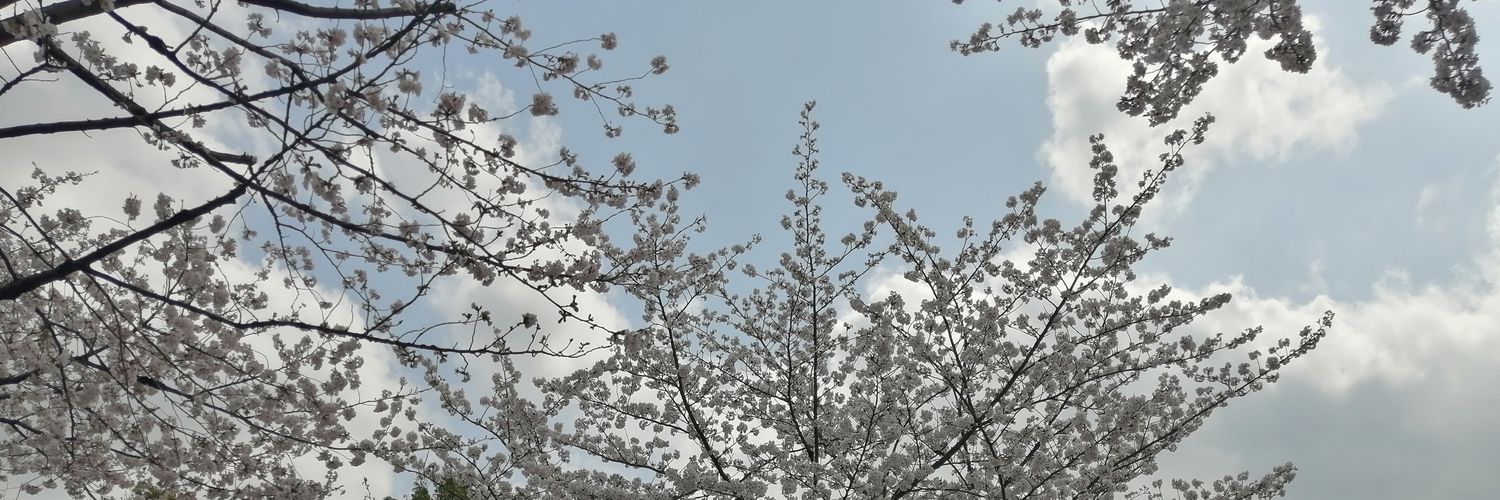 hid55's profile banner image