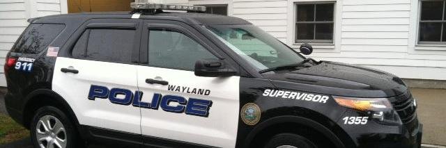Wayland Police banner