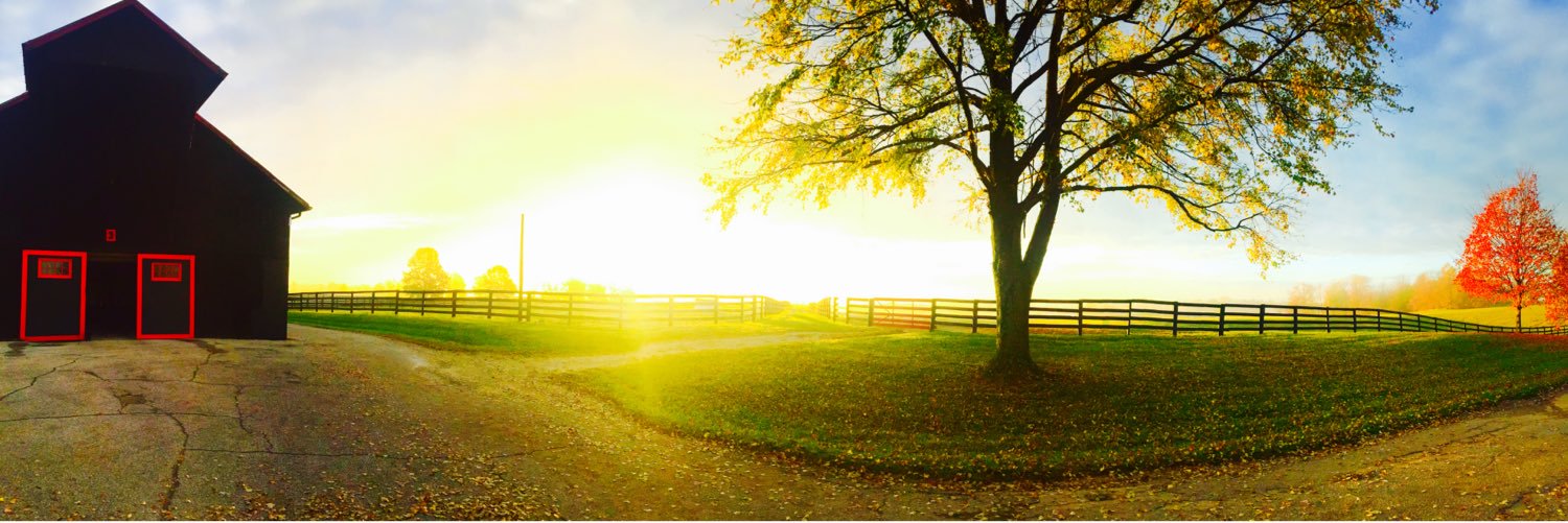 BrianKnippenber's profile banner image
