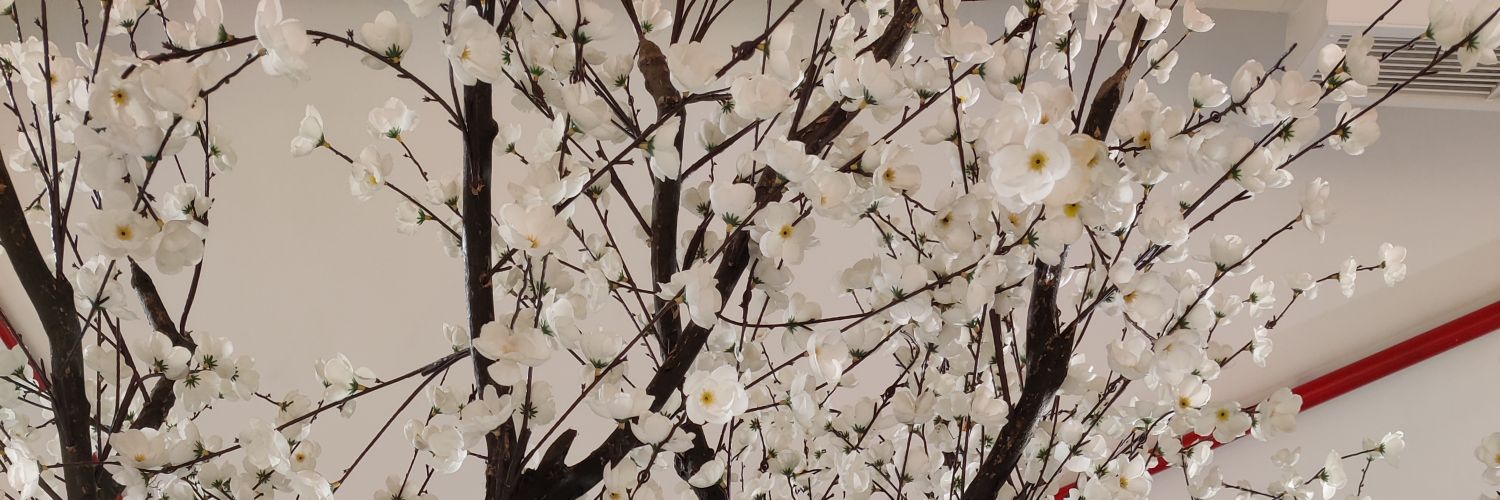 في قلب الوطن🌴⁦⁩⁦⁩⁦🇸🇦⁩ banner