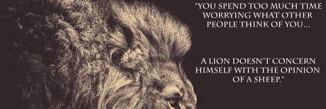 DSmith0782's profile banner image