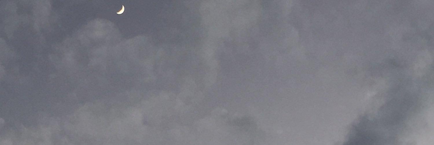 luciapiscess's profile banner image