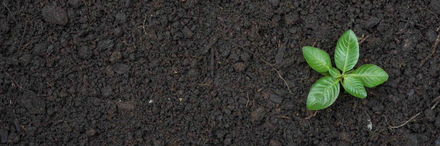 jrrothenborg's profile banner image