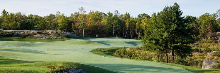 camcoxgolf's profile banner image