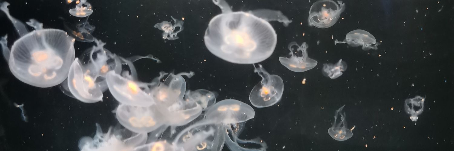 Leal ¿quien sino? banner